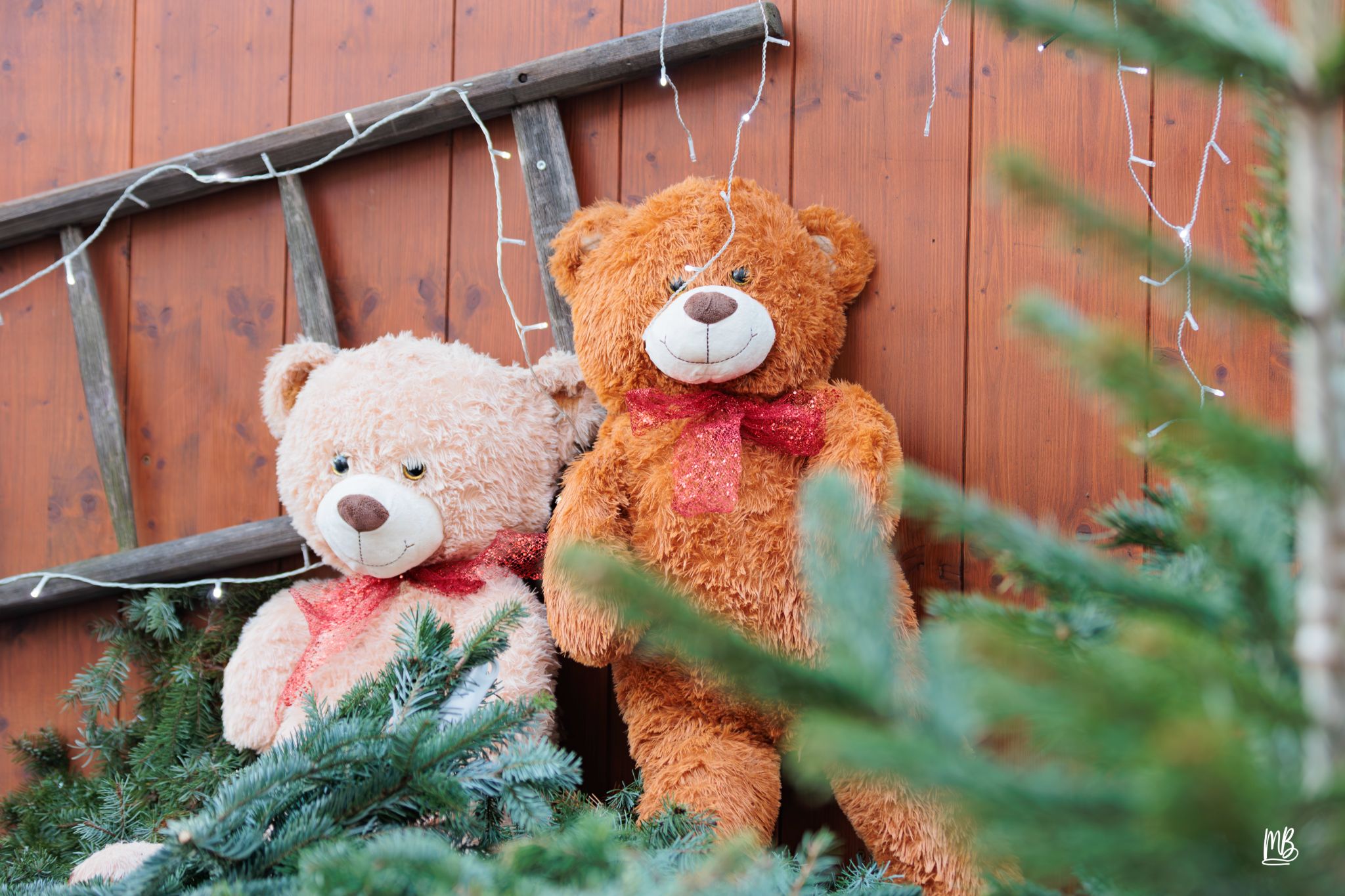 20241129 Noël à Haguenau MB (9 sur 114)